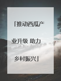 推动西瓜产业升级 助力乡村振兴