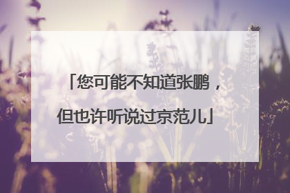 您可能不知道张鹏，但也许听说过京范儿