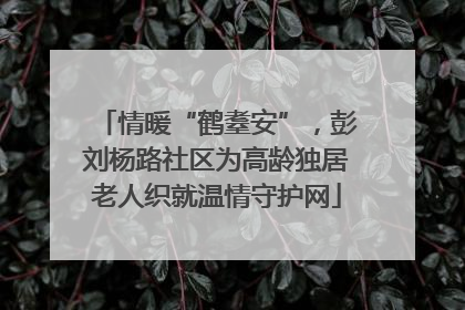 情暖“鹤耋安”，彭刘杨路社区为高龄独居老人织就温情守护网