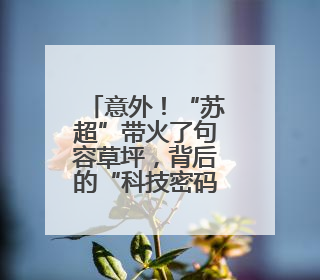 意外！“苏超”带火了句容草坪，背后的“科技密码”你了解吗？