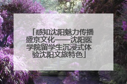 感知沈阳魅力传播盛京文化——沈阳医学院留学生沉浸式体验沈阳文旅特色