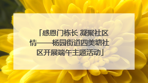感恩门栋长 凝聚社区情——杨园街道四美塘社区开展端午主题活动