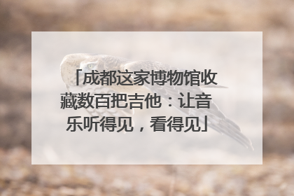 成都这家博物馆收藏数百把吉他：让音乐听得见，看得见