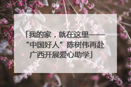 我的家，就在这里——“中国好人”陈树伟再赴广西开展爱心助学