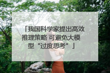 我国科学家提出高效推理策略 可避免大模型“过度思考”