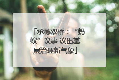 承德双桥：“蚂蚁”议事 议出基层治理新气象