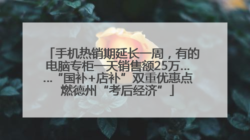 手机热销期延长一周，有的电脑专柜一天销售额25万……“国补+店补”双重优惠点燃德州“考后经济”
