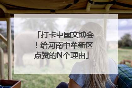 打卡中国文博会！给河南中牟新区点赞的N个理由