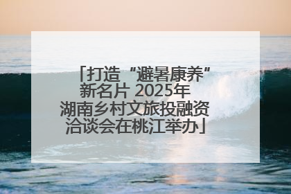 打造“避暑康养”新名片 2025年湖南乡村文旅投融资洽谈会在桃江举办