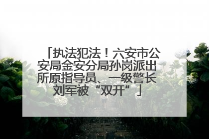 执法犯法！六安市公安局金安分局孙岗派出所原指导员、一级警长刘军被“双开”