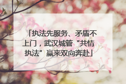 执法先服务、矛盾不上门，武汉城管“共情执法”赢来双向奔赴
