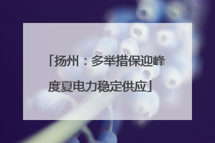 扬州：多举措保迎峰度夏电力稳定供应