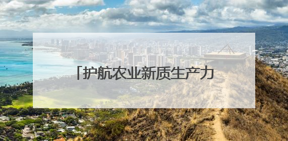 护航农业新质生产力，丰富未检品牌内涵……代表们关心这些事