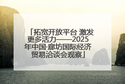 拓宽开放平台 激发更多活力——2025年中国·廊坊国际经济贸易洽谈会观察