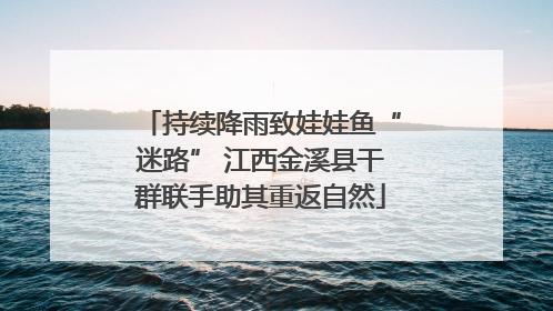 持续降雨致娃娃鱼“迷路” 江西金溪县干群联手助其重返自然