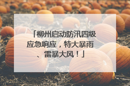 柳州启动防汛四级应急响应，特大暴雨、雷暴大风！