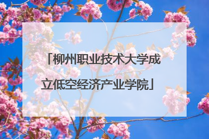 柳州职业技术大学成立低空经济产业学院