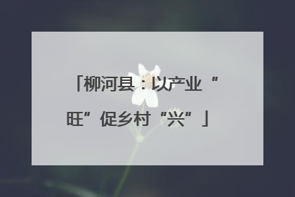 柳河县：以产业“旺”促乡村“兴”