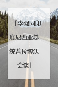 李强同印度尼西亚总统普拉博沃会谈