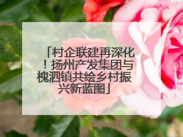 村企联建再深化！扬州产发集团与槐泗镇共绘乡村振兴新蓝图
