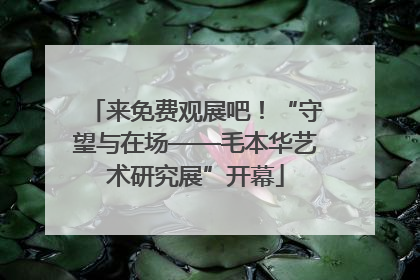 来免费观展吧！“守望与在场——毛本华艺术研究展”开幕