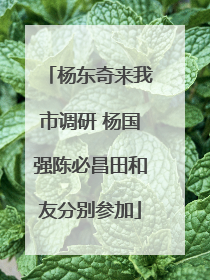 杨东奇来我市调研 杨国强陈必昌田和友分别参加
