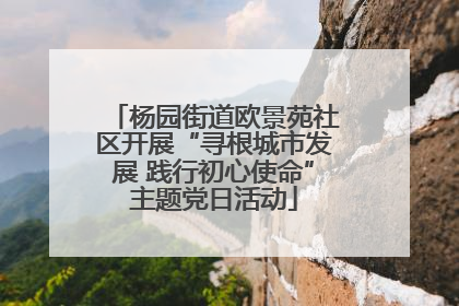 杨园街道欧景苑社区开展“寻根城市发展 践行初心使命”主题党日活动