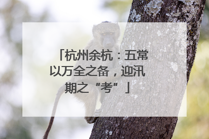 杭州余杭：五常以万全之备，迎汛期之“考”