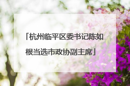 杭州临平区委书记陈如根当选市政协副主席