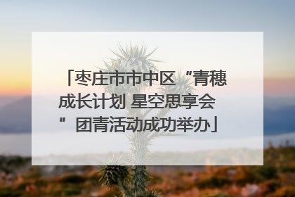 枣庄市市中区“青穗成长计划 星空思享会”团青活动成功举办