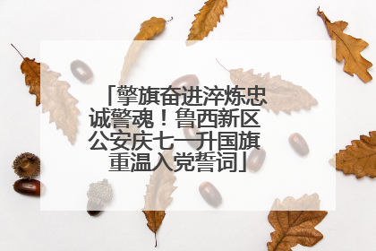 擎旗奋进淬炼忠诚警魂！鲁西新区公安庆七一升国旗 重温入党誓词