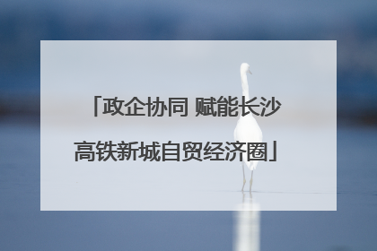 政企协同 赋能长沙高铁新城自贸经济圈