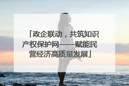 政企联动，共筑知识产权保护网——赋能民营经济高质量发展