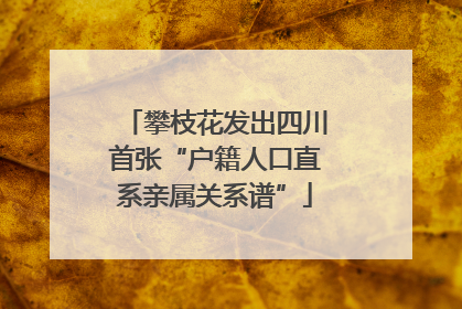 攀枝花发出四川首张“户籍人口直系亲属关系谱”