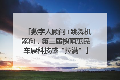 数字人顾问+跳舞机器狗，第三届槐荫惠民车展科技感“拉满”
