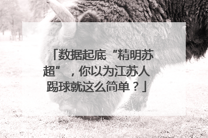 数据起底“精明苏超”，你以为江苏人踢球就这么简单？