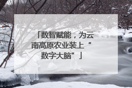 数智赋能，为云南高原农业装上“数字大脑”