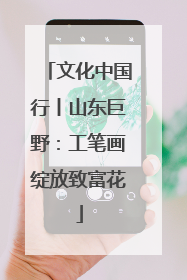 文化中国行丨山东巨野：工笔画绽放致富花