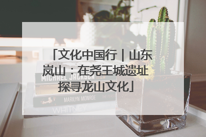 文化中国行｜山东岚山：在尧王城遗址探寻龙山文化