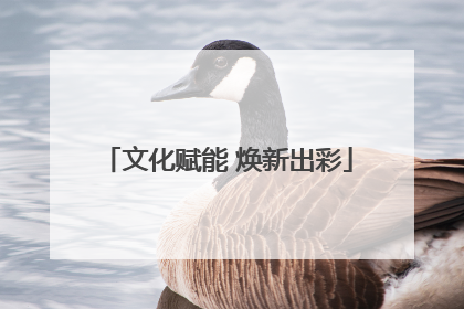 文化赋能 焕新出彩