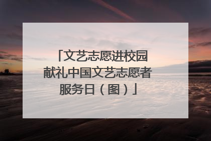 文艺志愿进校园 献礼中国文艺志愿者服务日（图）