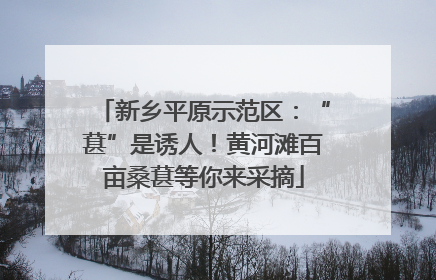 新乡平原示范区：“葚”是诱人！黄河滩百亩桑葚等你来采摘