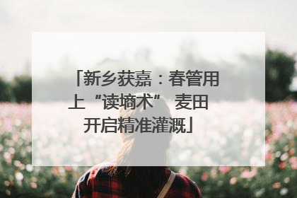 新乡获嘉：春管用上“读墒术” 麦田开启精准灌溉