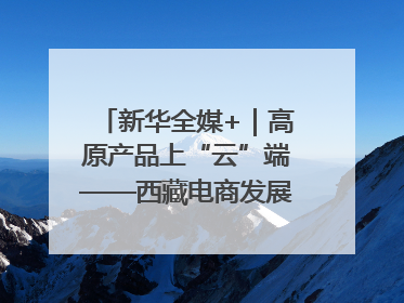新华全媒+｜高原产品上“云”端——西藏电商发展一线观察