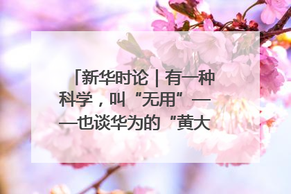新华时论｜有一种科学，叫“无用”——也谈华为的“黄大年茶思屋”