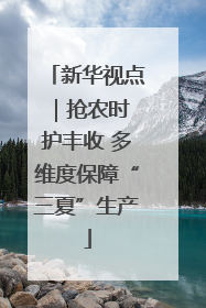 新华视点｜抢农时 护丰收 多维度保障“三夏”生产