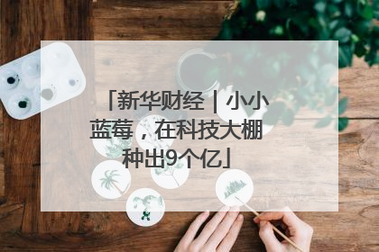 新华财经｜小小蓝莓，在科技大棚种出9个亿