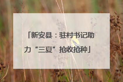 新安县：驻村书记助力“三夏”抢收抢种