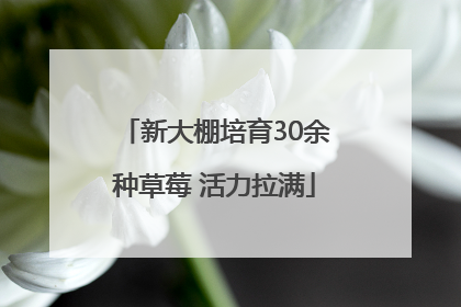 新大棚培育30余种草莓 活力拉满