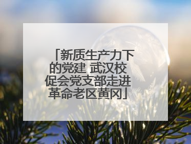 新质生产力下的党建 武汉校促会党支部走进革命老区黄冈